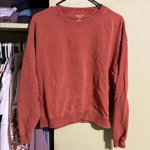 American Eagle Outfitters Women's Terracotta Crew Neck Sweater